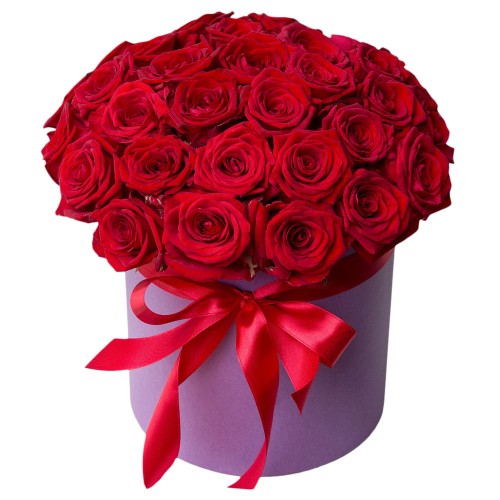 cutie trandafiri rosii 3 500x500